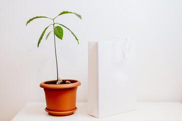 white paper shopping bag mockup. Paper bag template on white background. mockup for design.