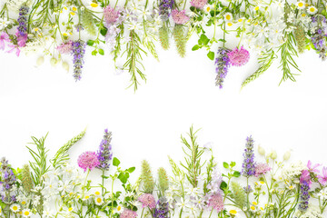 Composition of wild flowers and aromatic herbs on a white background.