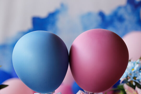 Baby Gender Reveal Party Concept