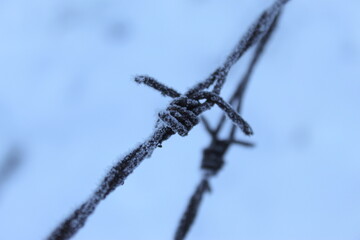 A corroded barbed wire on which frost had caught. Snow in the background. Frost on barbed wire.