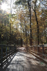 Morning Walk over Bridge