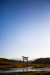 Torii