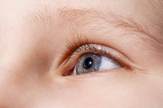 child's eyes close-up, macro. a child with open eyes of a gray-blue color. Health concept in the visual center. good vision and problems with children's eyes