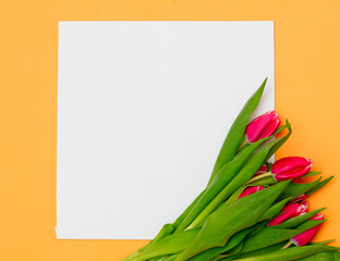Square mockup banner and tulips on yellow background