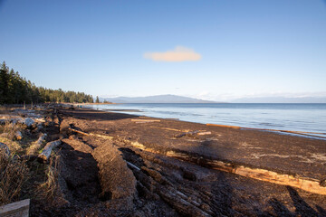 Rathtrevor beach under blue sky