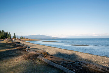 Rathtrevor beach under blue sky