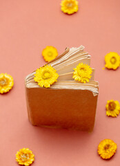 Obraz na płótnie Canvas Yellow dandelions and book on pink background