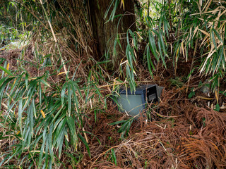 捨てられたブラウン管テレビ