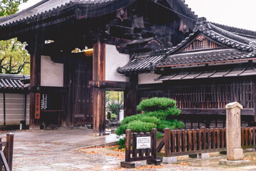 Traditional japanese temple building in a rainy day at Shitenno-ji temple, Osaka, Japan