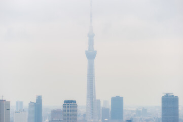 Naklejka premium 東京都港区浜松町から見た東京の景色