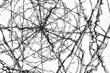 Vector background in grunge style. Intersecting curved lines, cobwebs.