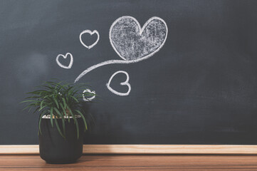 Plant pots and heart shapes on the blackboard