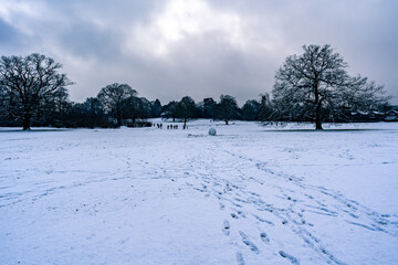 Obraz premium A park with trees covered with snow (Uxbridge, London, UK)