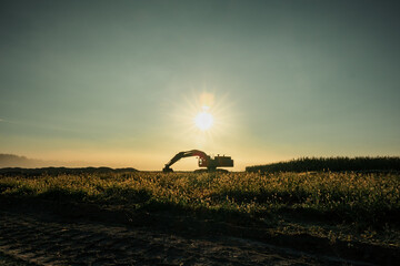 An excavator sits under the rising sun as the fog gently lifts from the ground.