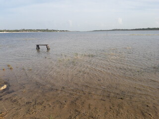 the bench in the pond