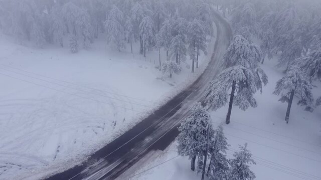 Aerial view of an empty winter road winding through the trees of Troodos Mountain in Cyprus.