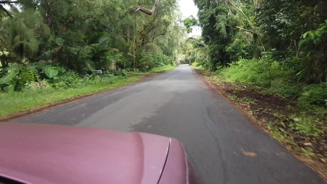 Time lapse of a beach road drive in a local car on Big Island Hawaii with pam trees and lush tropical vegetation lining the road.