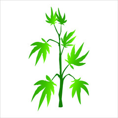 Medical Marijuana Cannabis Branch - Vector Illustration