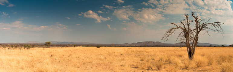 Landscape In The Ugab Valley At Outjo, Kunene, Namibia, Panorama