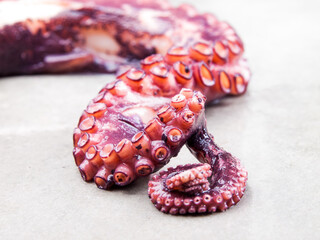 cooked tentacle of an octopus