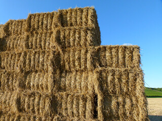 Stacked Straw Bales, Straw Ball Wall On Harvested Grain Field In Late Summer