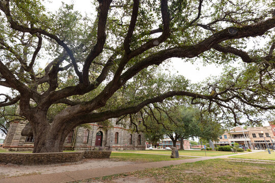 Goliad