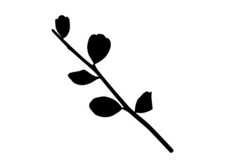 Leaves and branch silhouette 