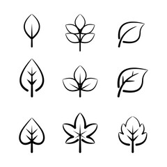 Obraz premium set of line art leaves floral