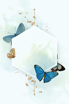 Hexagon frame with blue butterflies patterned background vector