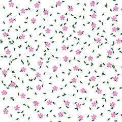 Pink cherry blossoms with green leaves on a white background.