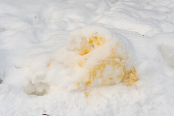 Close up of dog's yellow pee signature on white snow