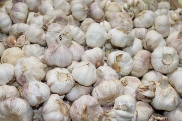 garlic on market