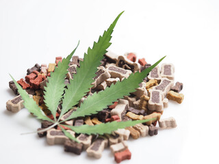 dog food with cannabis oil.