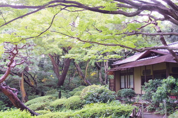 日本庭園