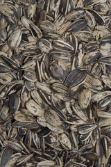 Baked Sunflower Seeds Sitting On White Background