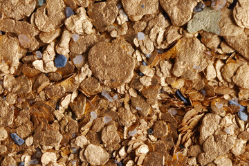 Macro photo of raw alluvial placer gold from British Columbia, Canada. Smaller raw gemstones,platinum and black sand commonly deposited with gold also shown.