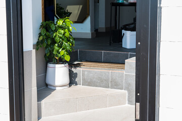 Busan, South Korea-October 2020: Home plant on a vase ceramic pot at the entrance of the building