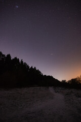 The starry sky over the forest and the path leading into the forest on a winter night.