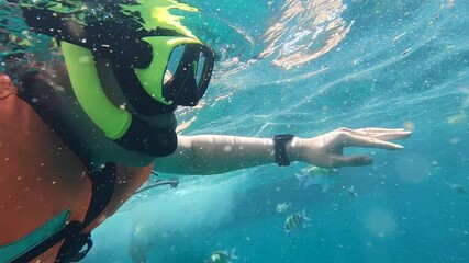 Young diver man snorkeling and swimming underwater exploring tropical reef with beautiful exotic fish in crystal clear ocean in Phi Phi Island, Phuket, Thailand