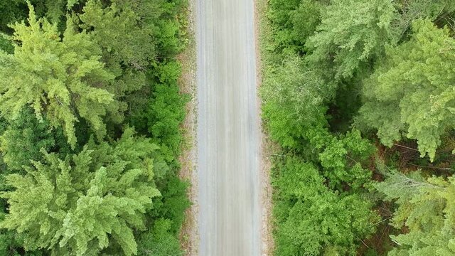 Drone reveal shot of top down(birds eye view) angle of an ATV or four wheeler driving on a dirt road surrounded by green pines trees in a forest located in rural Canada. 
