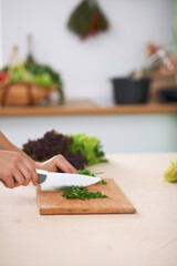 Close-up of human hands cooking vegetables salad in kitchen. Healthy meal and vegetarian concept