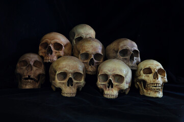 The pile of old skulls put on black cloth and black background
