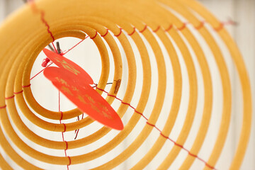 Circle Incense Stick