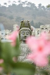 Buddha 三寶寺