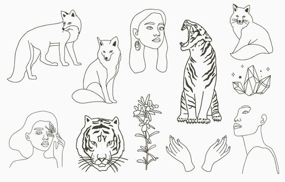 Line object collection with hand, tiger,fox,woman,star,crystal