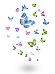 Flock of flying butterflies isolated on white