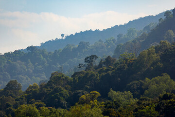 Natural forest, rich in the Mae Wong mountain range, Thailand.