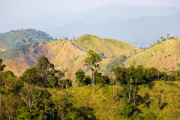 Natural forest, rich in the Mae Wong mountain range, Thailand. © จิตรกร เนาเหนียว