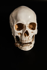 Human skull model with key on a black background. Low-key photo.