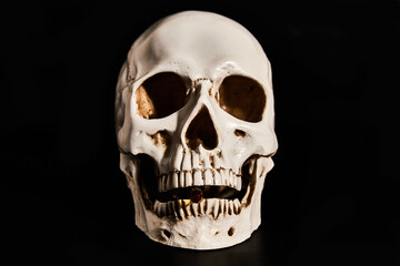 A Softgel in the jaw of a human skull model. Low-key photo.